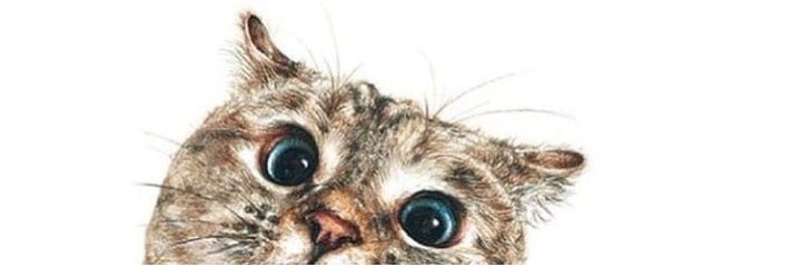 nyoniss's profile banner image