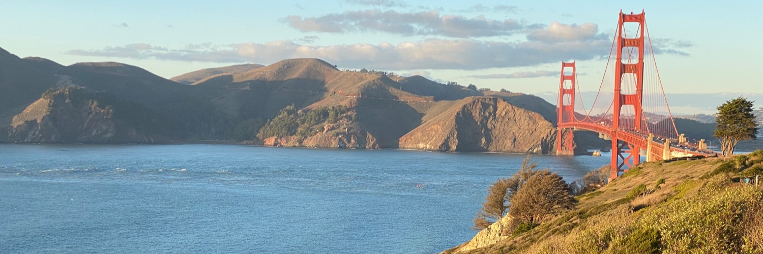 Malcolm Young banner