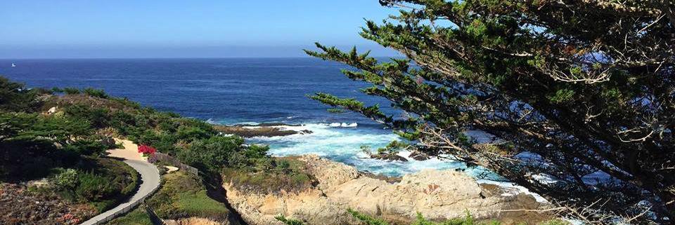 Anne Silver 🇵🇸 banner