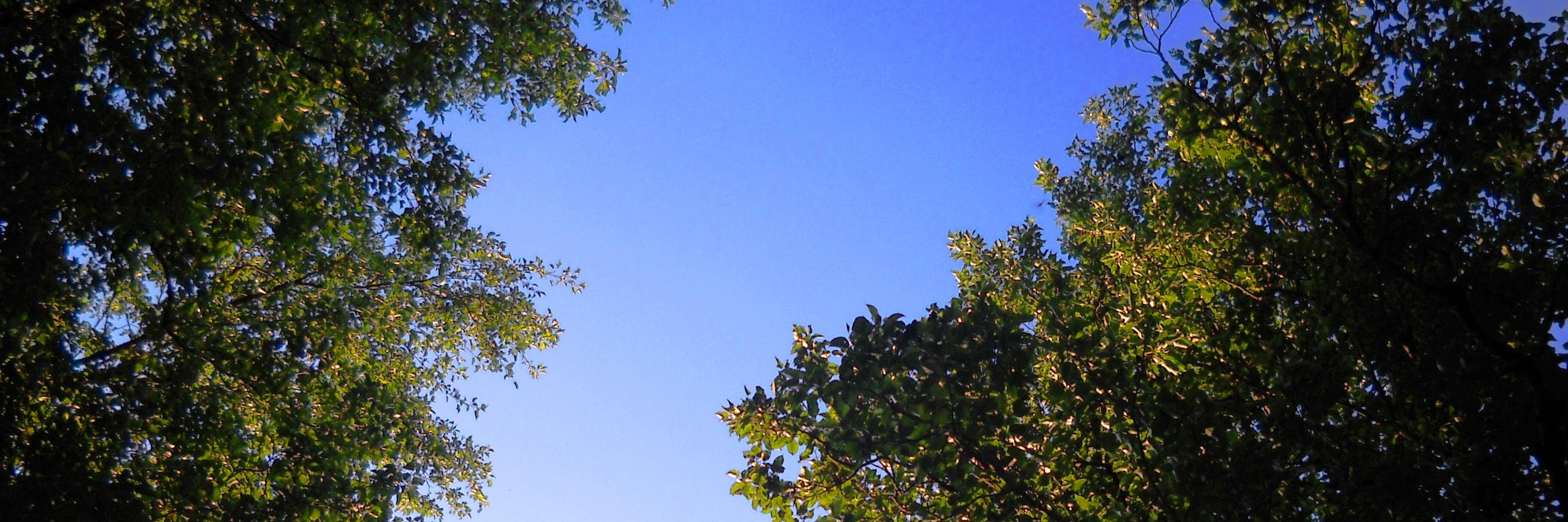 mic_mgl's profile banner image
