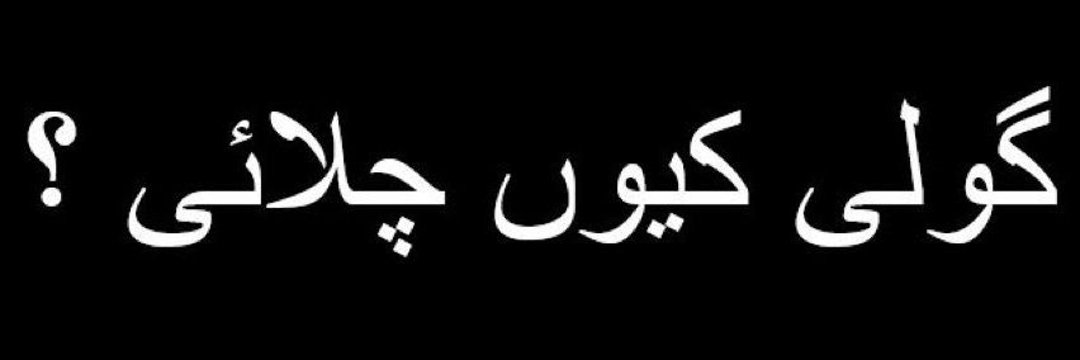 team SOW Official ٹیم شاہین اف واریئر banner