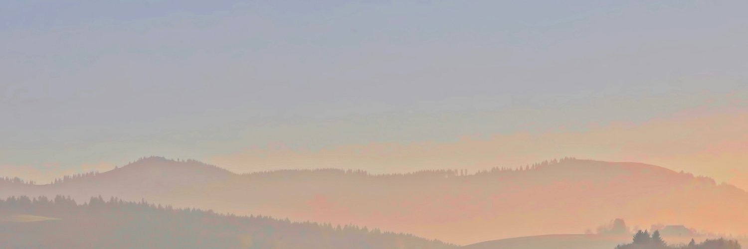41's banner