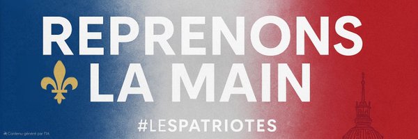 LLamainfroide Profile Banner