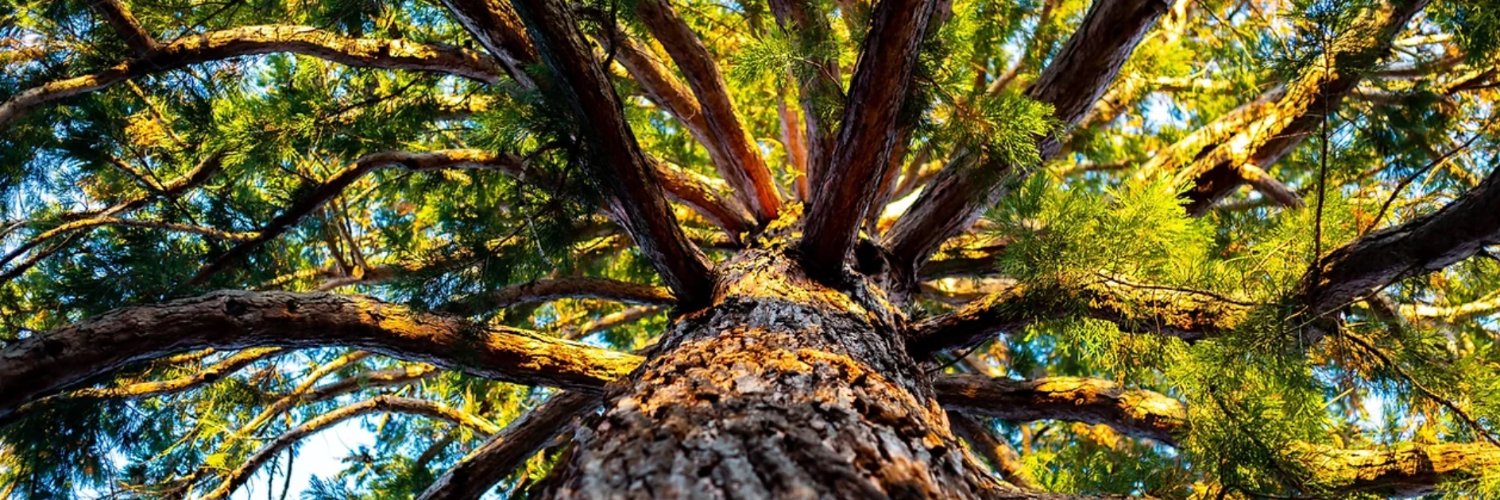 Wisdom Exchange Project banner