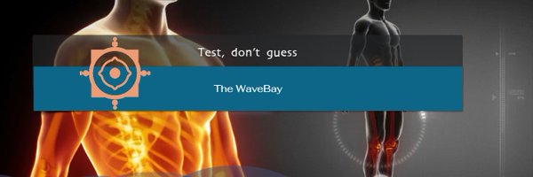 thewavebay Profile Banner