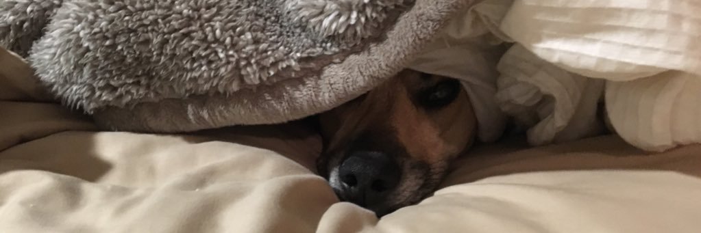aalderson's profile banner image