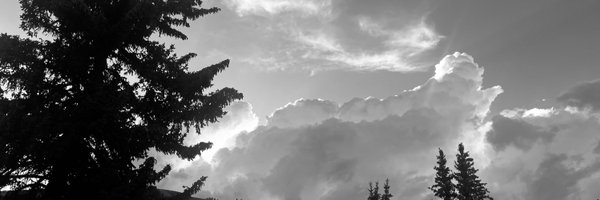 lilymuse111 Profile Banner