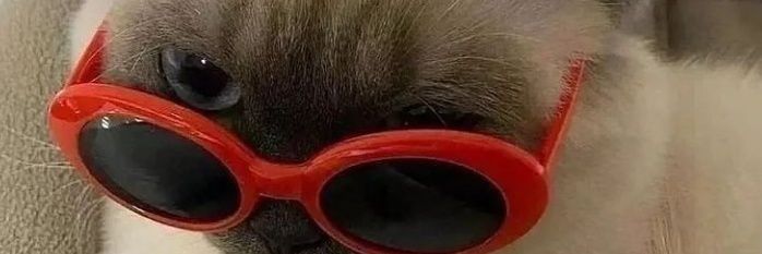 É o kaduuuuu banner