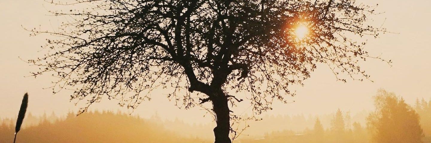 vinrays's profile banner image