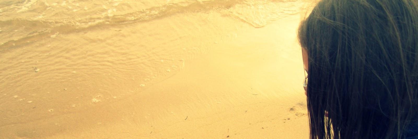 PAO banner
