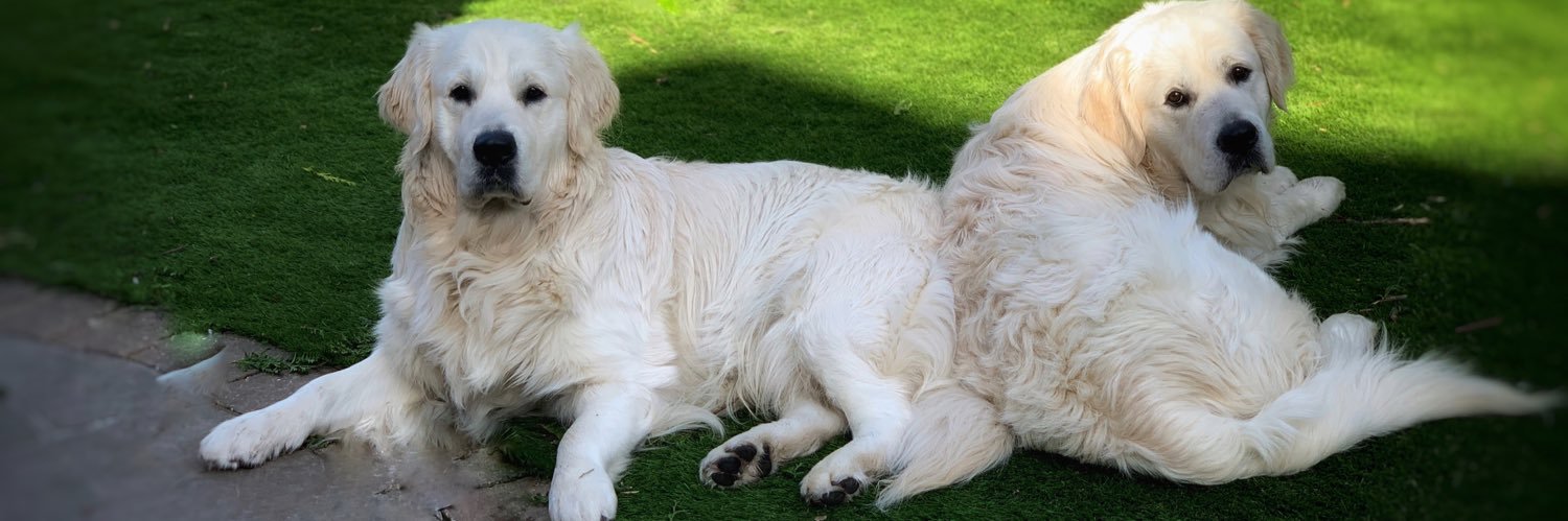 TeamRetriever banner