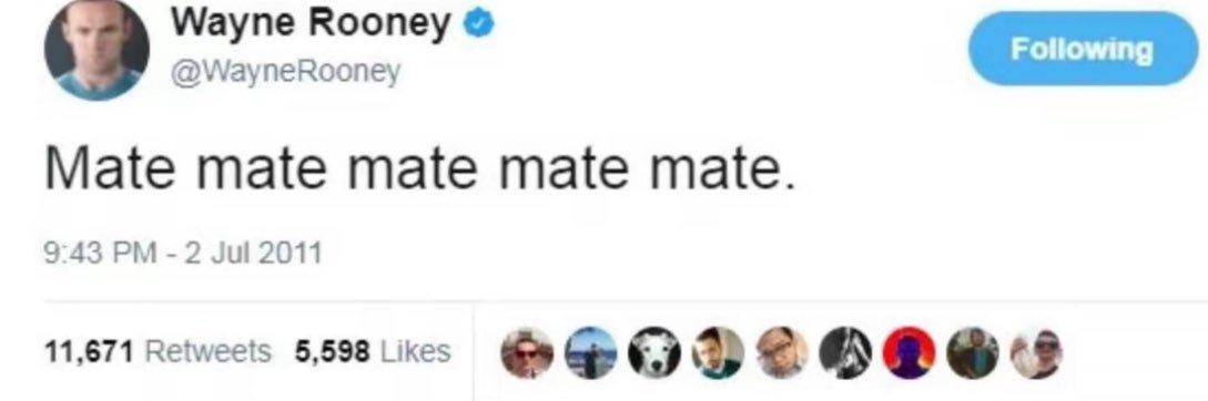 Mate mate mate mate. banner