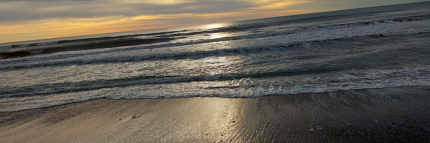 Maccattacka's profile banner image
