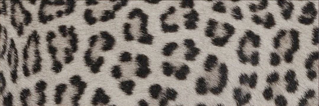 hanna ୧ ‧₊˚'s banner