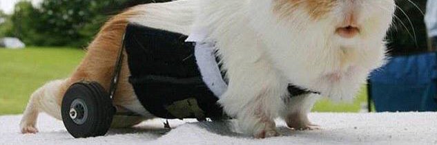 oxxx's profile banner image