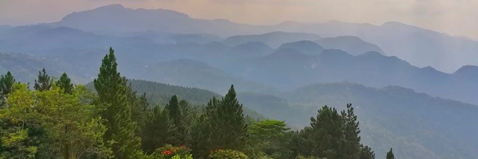 ammfazlan's profile banner image