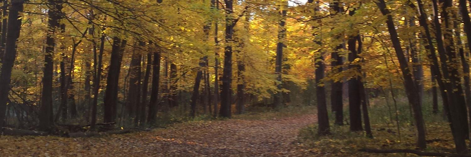 timpappageorge banner