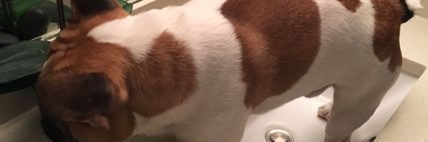 iLordVanderJock's profile banner image