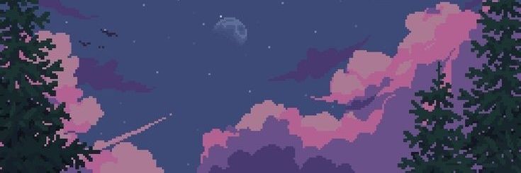 🖤Nim💜 banner