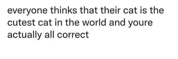 catsofx Profile Banner