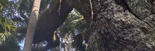 CEntityComix Profile Banner