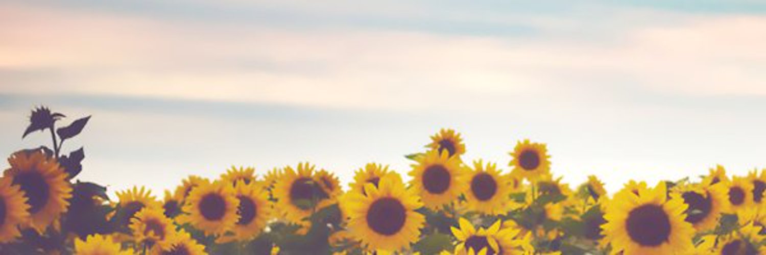 FiddledeeEmma's profile banner image