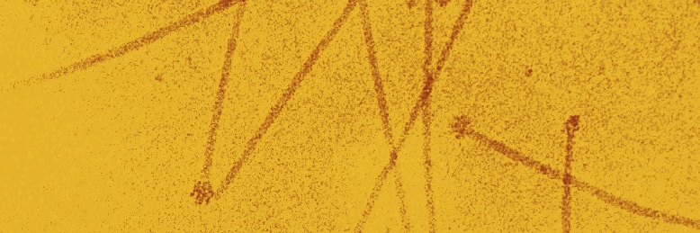 ktforest's profile banner image