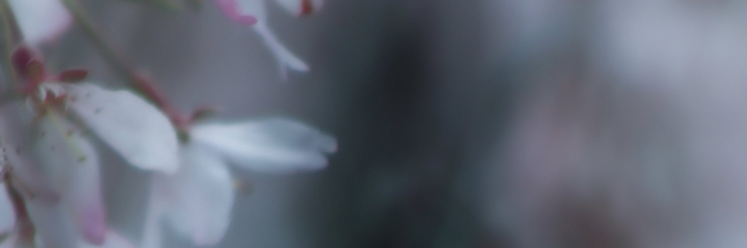 惠's banner