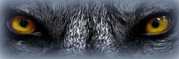 RHSFAM1LY Profile Banner