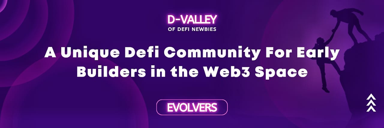 D-VALLEY OF DEFI NEWBIES banner