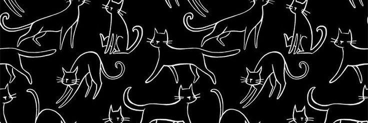 rinaaanchey banner