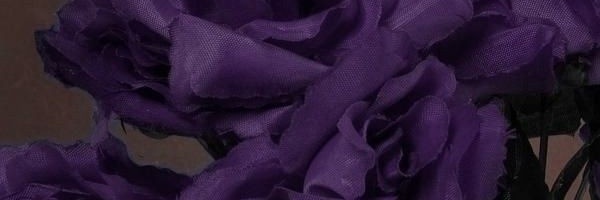 Vex banner