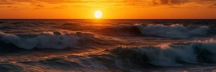 Sevim Oğuz rt 🇹🇷 banner