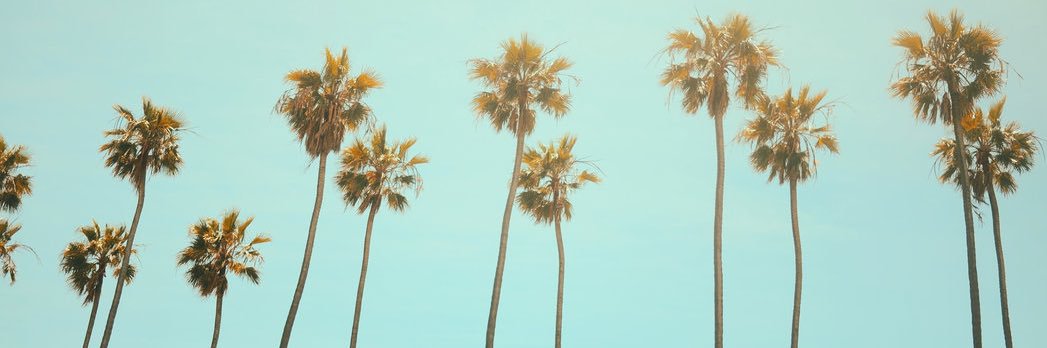 𝐁 𝐄 𝐓 𝐇 banner