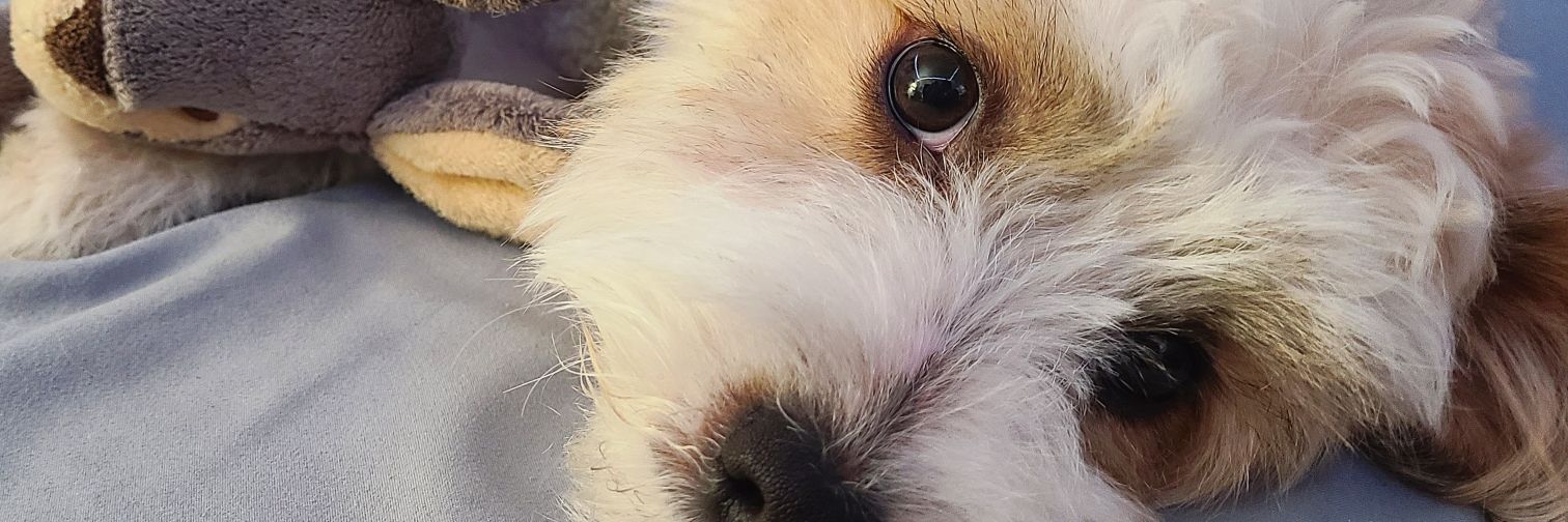 prtlycloudy7's profile banner image