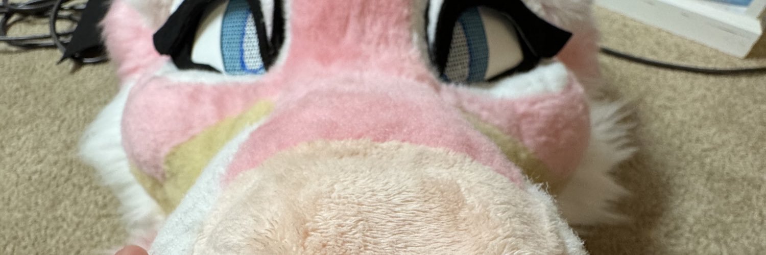 springpubby's profile banner image