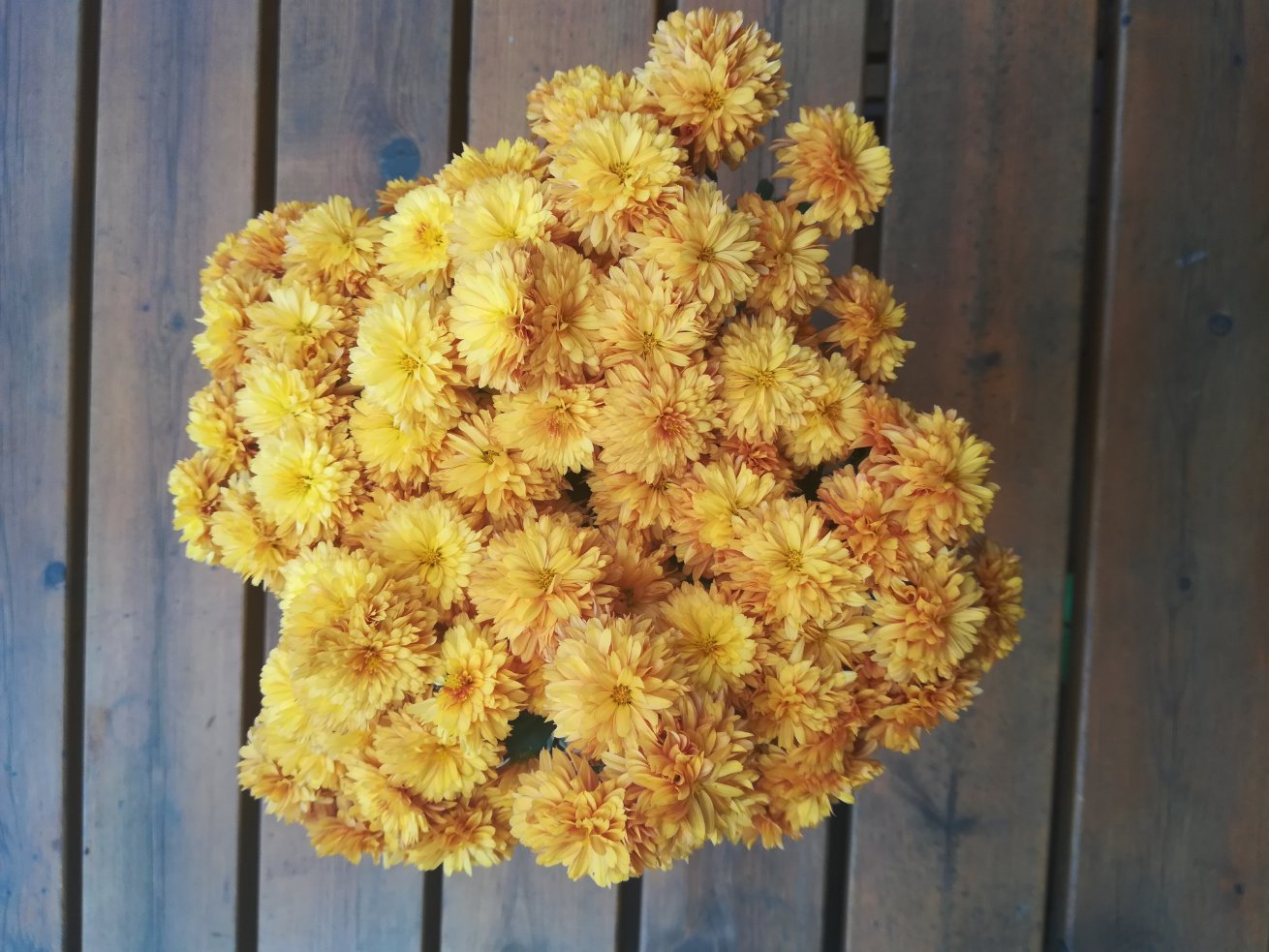 anut0307's profile banner image