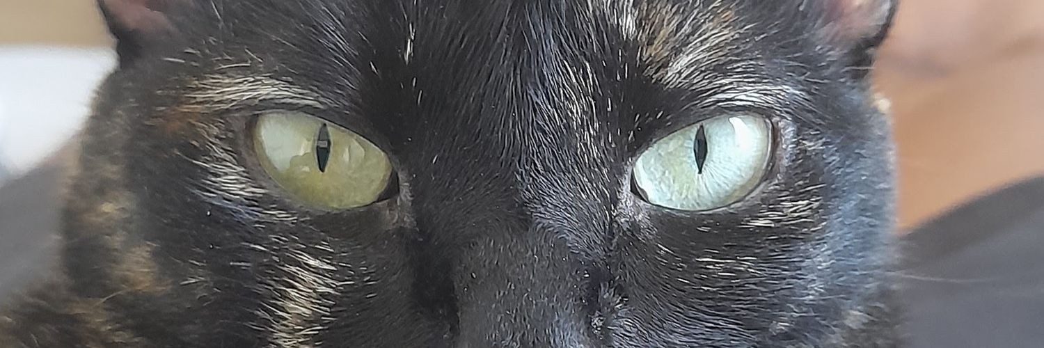 Lucasdebrunoo's profile banner image