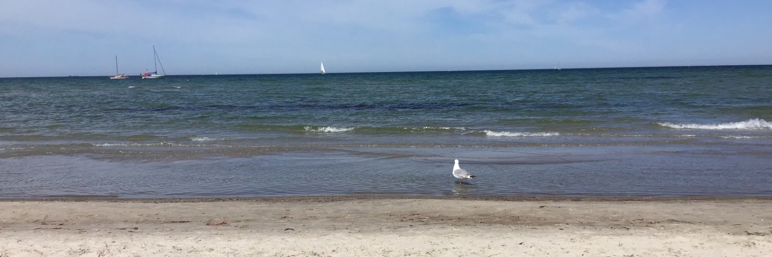 Hauke Morisse banner