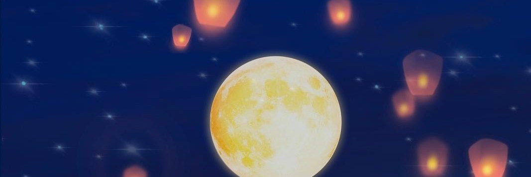 vfpxh_'s profile banner image