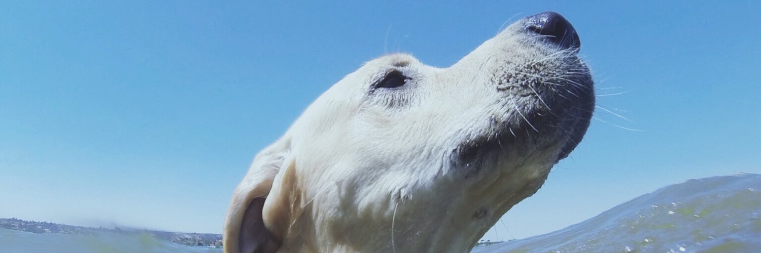 LUISFELIPEMLD's profile banner image