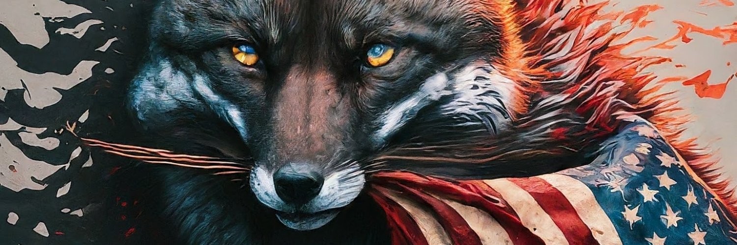 SHADOWCUB2024's profile banner image