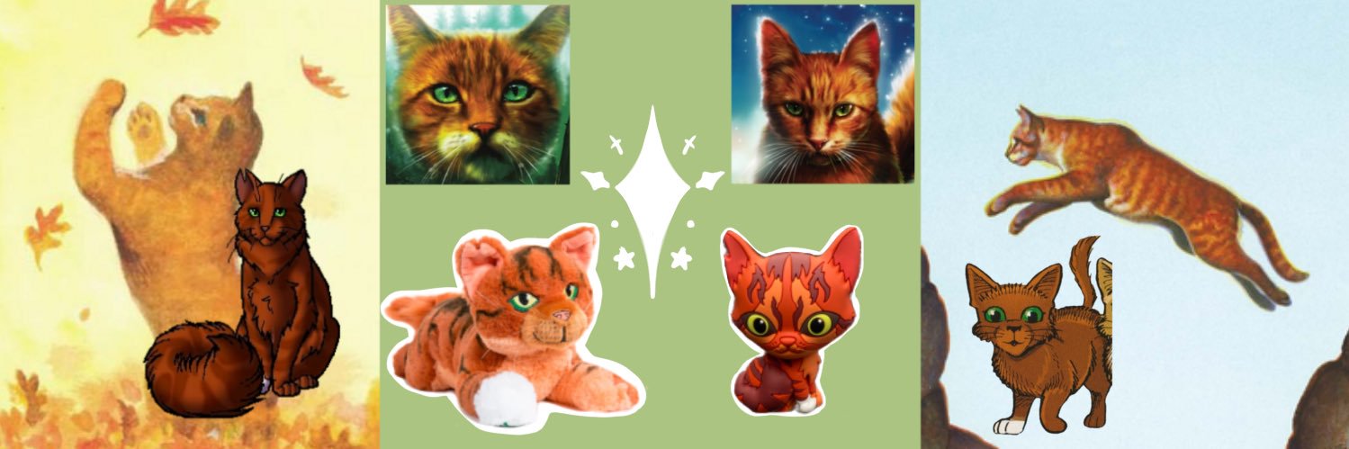 Squirrelstar 🐿️⭐️'s banner