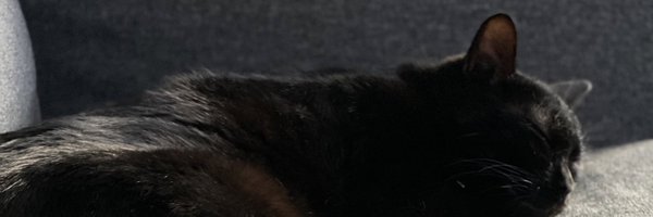 b3ll Profile Banner