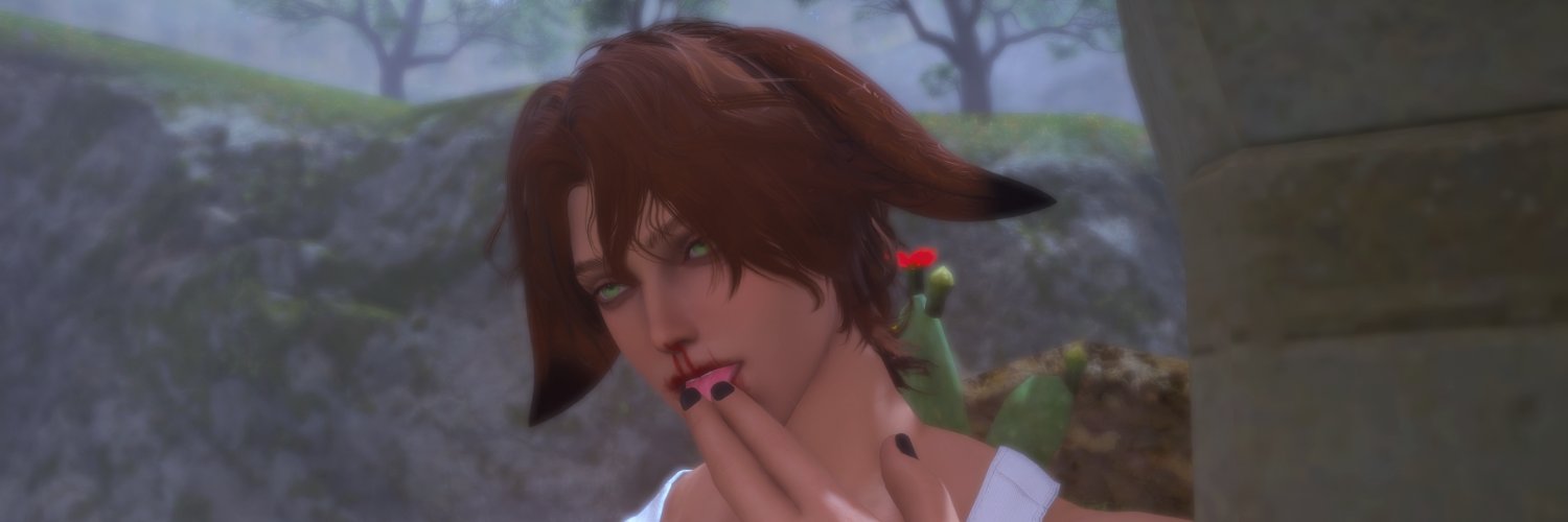 HeartPiercerXIV's profile banner image