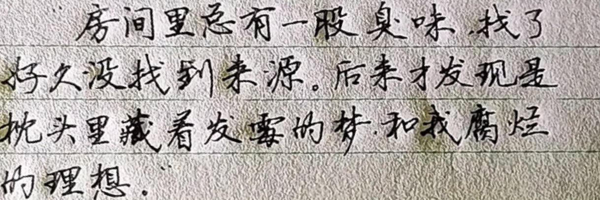 叫我潇洒哥 banner