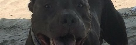 cachagerben's profile banner image