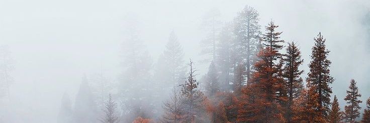 🌙 banner