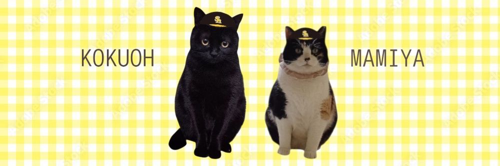 たま⚾🐴🇯🇵 banner