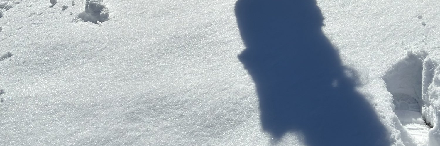 LauraM77292's profile banner image